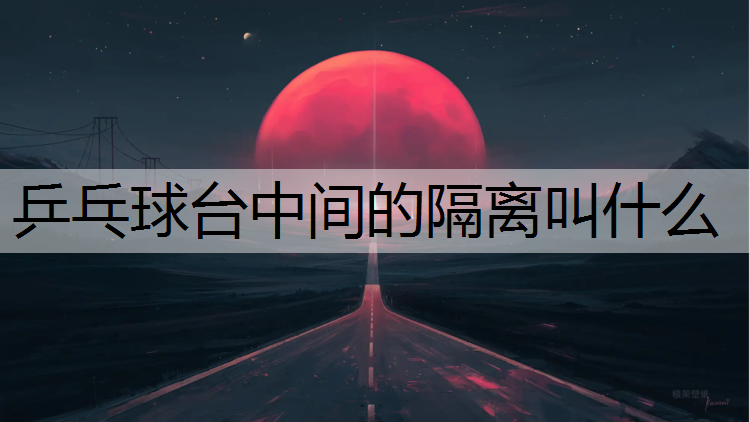 乒乓球台中间的隔离叫什么